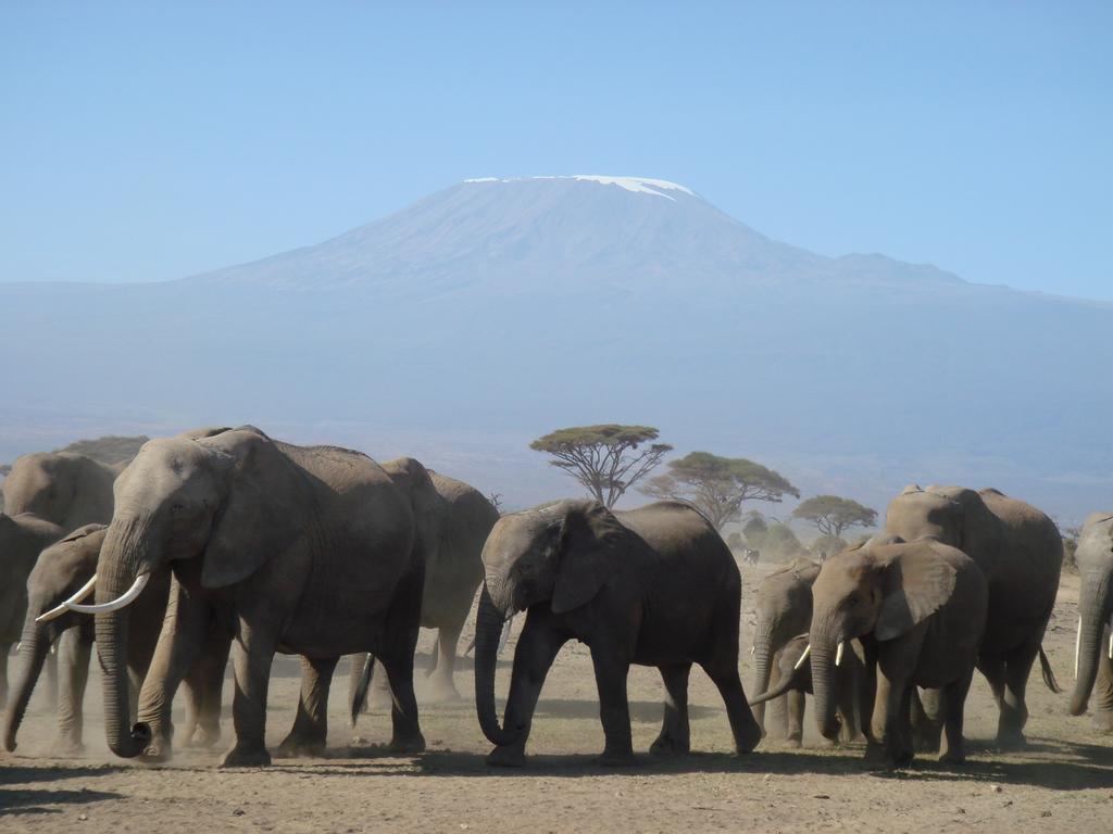Hotel Kilima Safari Camp Amboseli Exterior foto