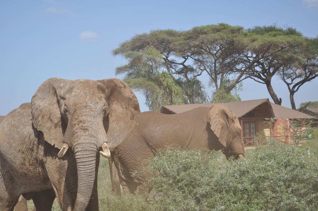Hotel Kilima Safari Camp Amboseli Exterior foto